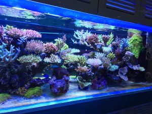 How to avoid water leakage in the aquarium tank?
